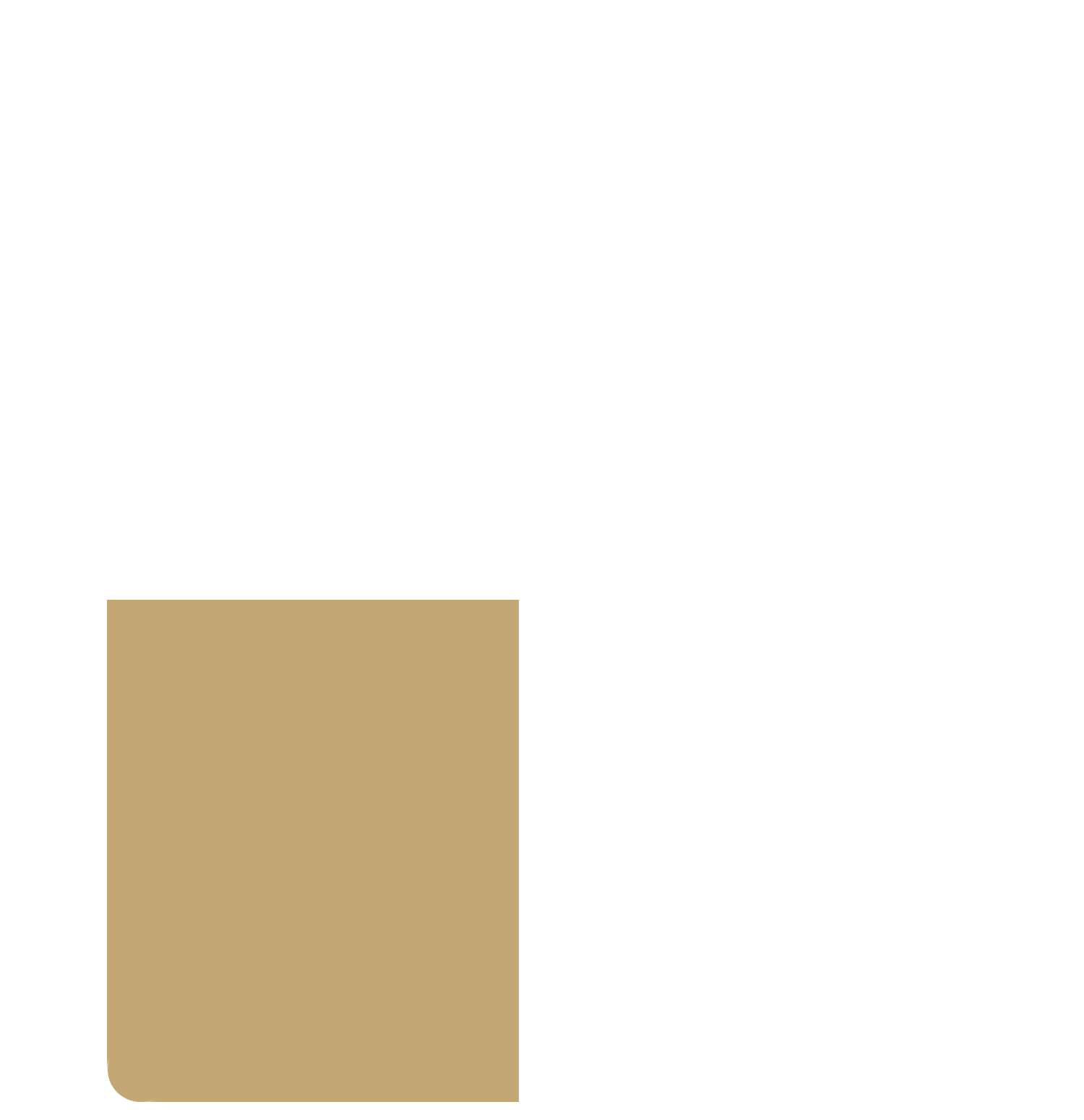 GoldsCar8